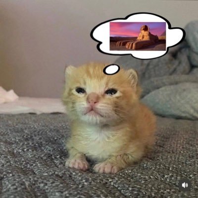 tinymidnax3's profile picture. 