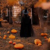 🎃𝑷𝒖𝒎𝒑𝒌𝒊𝒏 𝑾𝒊𝒕𝒄𝒉🎃 (@_pumpkinwitch) 's Twitter Profile Photo