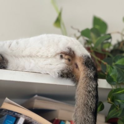 UmutDemircin's profile picture. the person who design fashion..