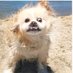 TobyfromHR228 (@hr22875580) Twitter profile photo TobyfromHR228 (@hr22875580) Twitter profile photo