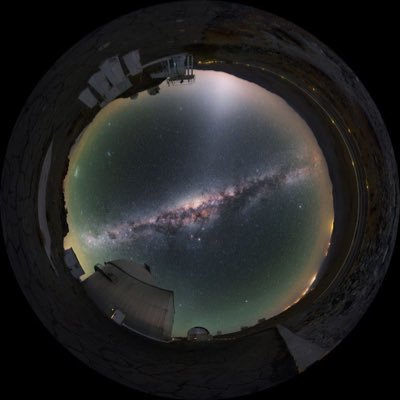 0geen's profile picture. 