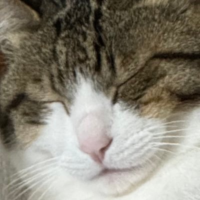 異人さんのプロフィール画像