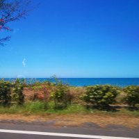 Daniel Wu (@danielhu023) 's Twitter Profile