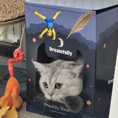 jakubswiateksob's profile picture. Member of XEN community. I strongly believe in this project. I hope people will soon see the value xen brings. long term project so I am calm.