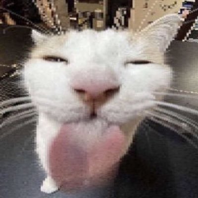 ULihacova's profile picture. she/her fishsoot/yopui!