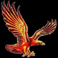الشبح القصير (@mnts2020m) 's Twitter Profile