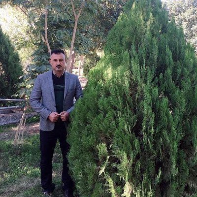 abezyra_faozi's profile picture.