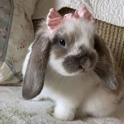 𝐌 𝐀 𝐑 𝐈さんのプロフィール画像
