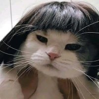 ๐ธ๐ง๐๐ค๐๐ ๐ผ๎จ (@xbigwin__) 's Twitter Profile