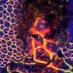 Jessica Dello Russo, Ph.D. Profile picture