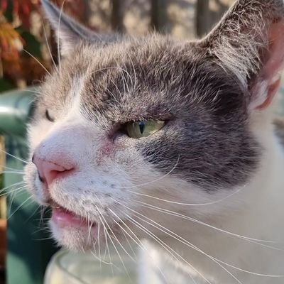 harry_johnst's profile picture. 