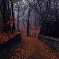 Odins Bard (@quillandaxe) 's Twitter Profile