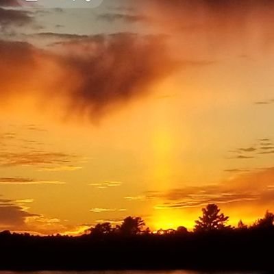 JefferyStein7's profile picture. 