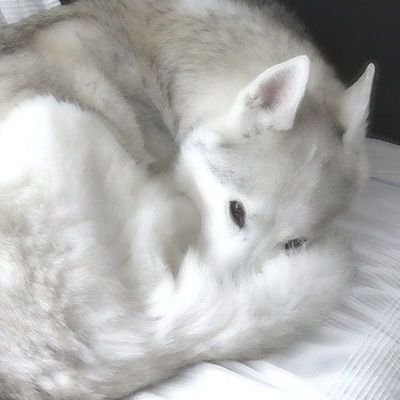 .さんのプロフィール画像