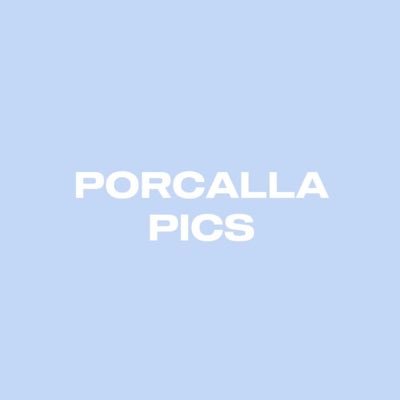 @porcallapics