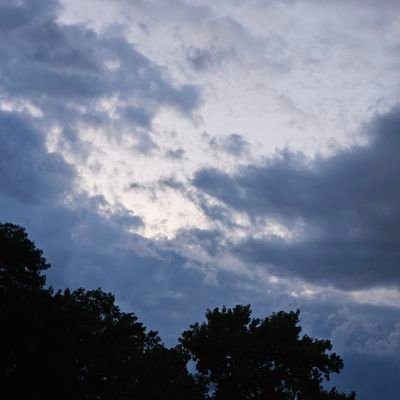 wazzer_wedinas's profile picture. 
