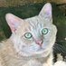 Buddy ๐ & Teddy B ๐ (@teddyb_cat) Twitter profile photo Buddy ๐ & Teddy B ๐ (@teddyb_cat) Twitter profile photo