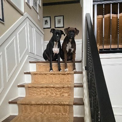 PNWrefugee's profile picture. 