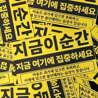 핑퐁 Profile