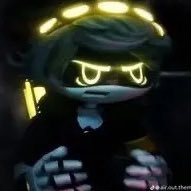 shayfulbird's profile picture. 