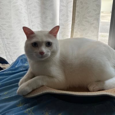 keyさんのプロフィール画像