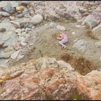 Pina Tesla (@pinatesla) 's Twitter Profile