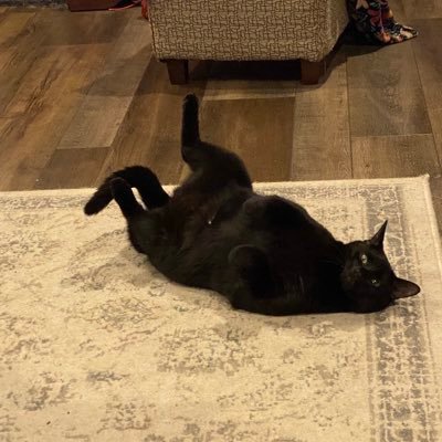 Chillyjill30965's profile picture. 