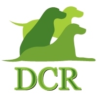 DogcareRomania's profile picture. 