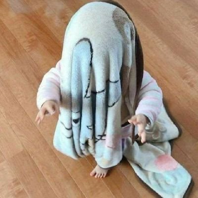 sokr_lozz's profile picture. 