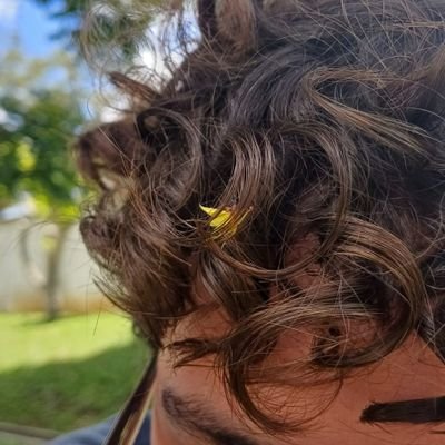 JP_Guerrad's profile picture. 🪻🐝🌈