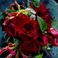 princesse de campagne (@princesse257) 's Twitter Profile