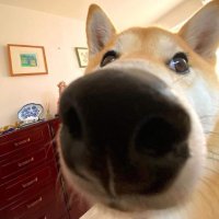 Cinders (@cyclone1920) 's Twitter Profile
