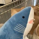 Smug | edtwt (@smug_shark) 's Twitter Profile