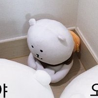 푸링🎀 (@sssstta0) 's Twitter Profile Photo
