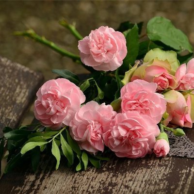 Natsumi42333160's profile picture. 収入アップの秘訣やおトクな情報など共有したりしています。自分がお金に苦労したのでお金に苦しんでいる方を助けたいと思い、小規模ですが現金配布企画を実施しております♬ 詳しくはここから▷ https://t.co/RPfqUbq3D7