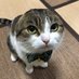 Un Random De Internet (@unrandom76737) Twitter profile photo Un Random De Internet (@unrandom76737) Twitter profile photo