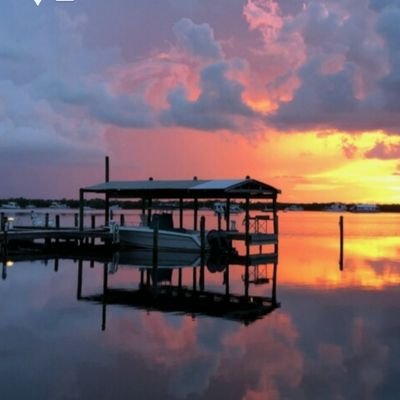 SacoMike's profile picture. 