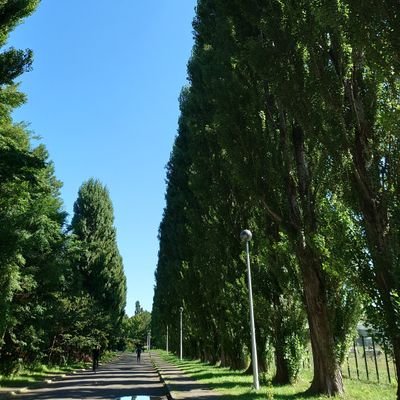 開歌のツイッター
のハズが、
元開歌、佐々木亜実さんに導かれて、
いろんなグループのXに進化しました
開歌
タイトル未定
美味しい曖昧
さとりモンスター
われらがプワプワプーワプワ
月刊PAM
ねおち
NORECO(新着)
ちなみに
ももクロ→CROWN POP→開歌 の流れ
※アイコンは ポプラ