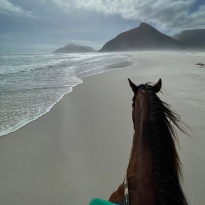 KholoudAziz_'s profile picture. 