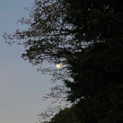 panggilsajascl's profile picture. i'am?