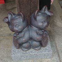 は🍫🦁🐉 (@iwuuh1bqdnodvcg) 's Twitter Profile