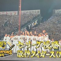 @定時に帰りたい社畜 (@jw95621) 's Twitter Profile