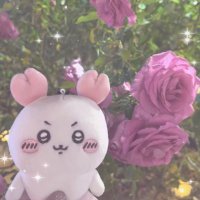 ちぴ (@___chipitan) 's Twitter Profile