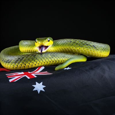 Patrick43445034's profile picture. Warrior culture is relative, but victory cannot be assured if you do not love those to your left or right. Very average IFV/AFV enthusiast, Views are my own.