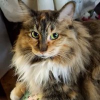 SallyWach (@sallywach) 's Twitter Profile