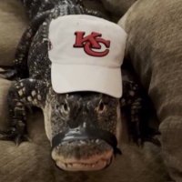 The OG Chiefs Kingdom (@1_chiefskingdom) 's Twitter Profile