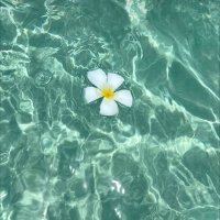 jv.770 (@770jv) 's Twitter Profile