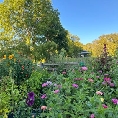 lil36284's profile picture. 