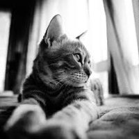 あおい５ (@aoioiaoi5) Twitter profile photo