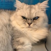 まる (@9modane) 's Twitter Profile